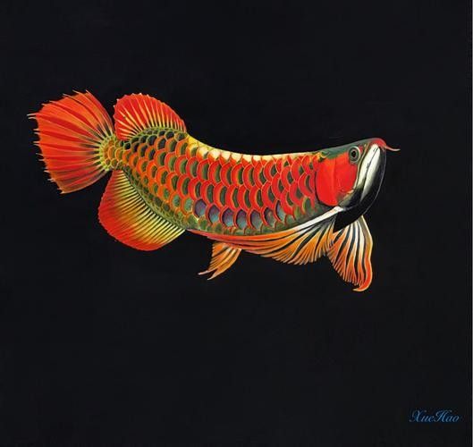 龍魚圖騰圖片高清壁紙