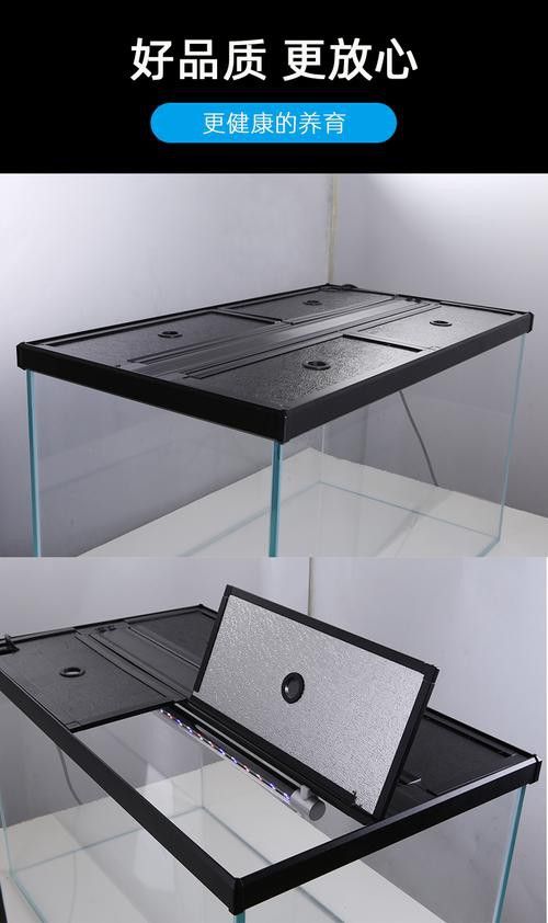 金頭龍魚缸需要哪些配件？