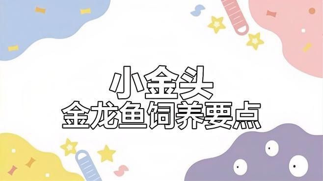 金頭龍魚缸需要哪些配件？