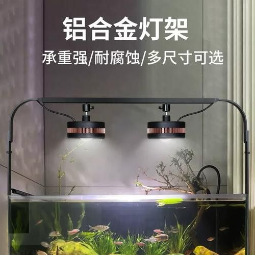 金頭龍魚缸需要哪些配件？