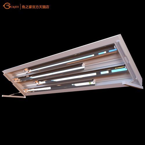 金頭龍魚缸需要哪些配件？