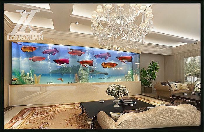 金頭龍魚缸需要哪些配件？