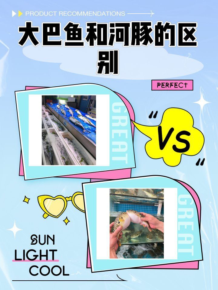 冒充河豚的魚叫什么