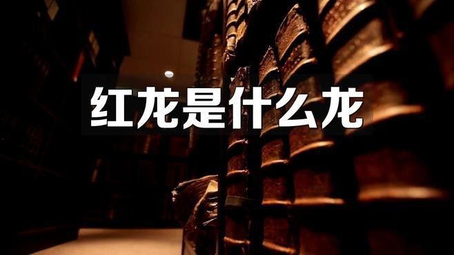 紅龍圖案在不同文化中的象征意義