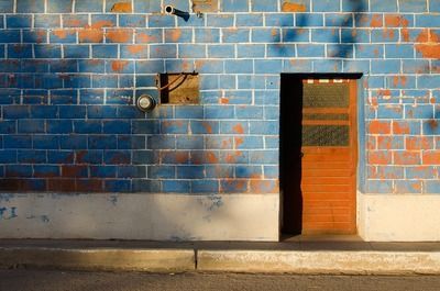 招財(cái)貓魚(yú)和紅招魚(yú) 金龍魚(yú)一起養(yǎng)嗎（招財(cái)貓魚(yú)和紅龍魚(yú)混養(yǎng)有風(fēng)險(xiǎn)嗎？）