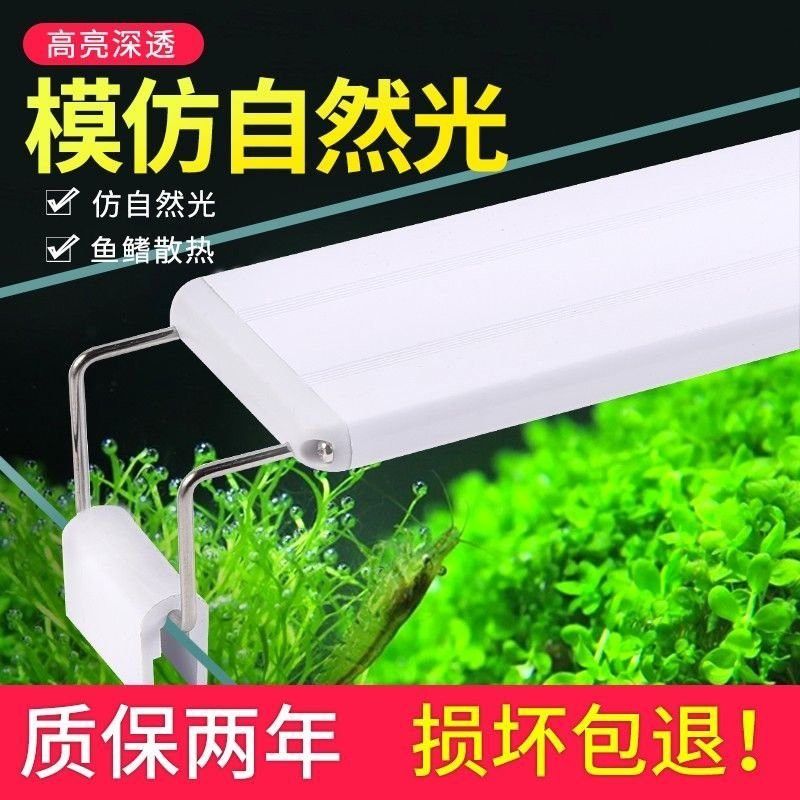 金龍魚專用燈可以用來植物光合作用嗎
