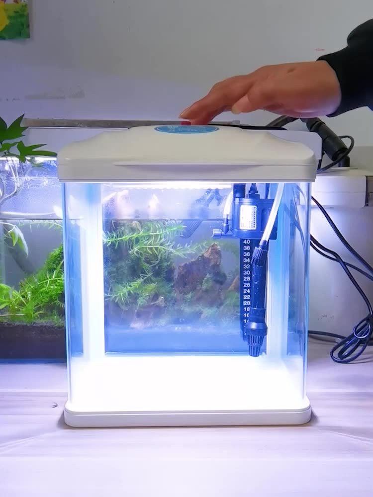 金龍魚專用燈可以用來植物光合作用嗎