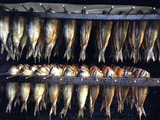 龍魚高背和過背哪個好一點，龍魚的高背和過背各有特點