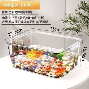 六角恐龍魚專用缸買什么（六角恐龍魚專用缸如何選擇）