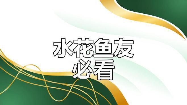 買錦鯉水花能養出好魚嗎