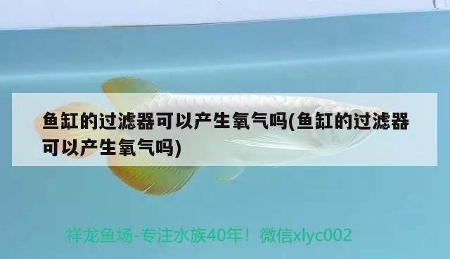 魚缸的過濾器可以產(chǎn)生氧氣嗎(魚缸的過濾器可以產(chǎn)生氧氣嗎)