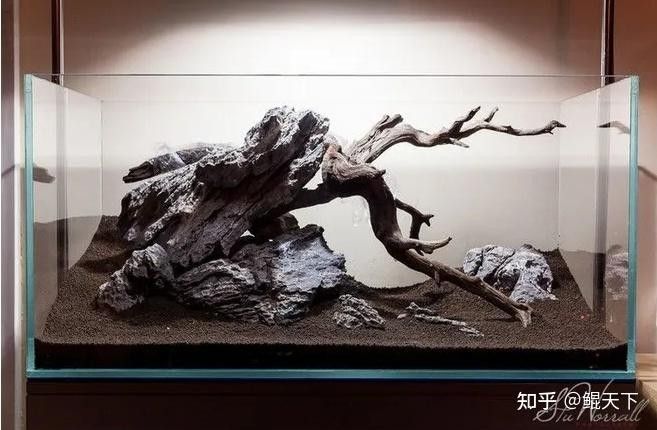 龍魚缸沉木造景圖片大全集