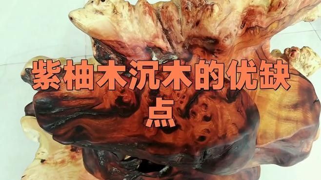 龍魚缸沉木造景圖片大全集