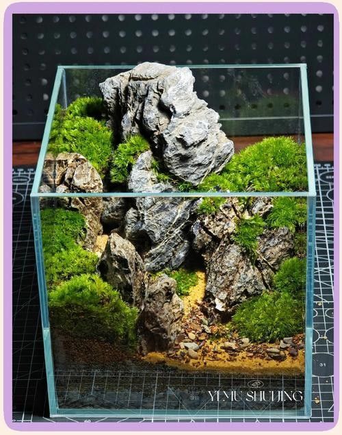 龍魚缸沉木造景圖片大全集
