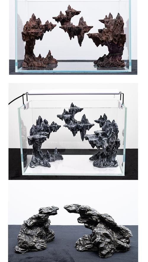 龍魚缸沉木造景圖片大全集