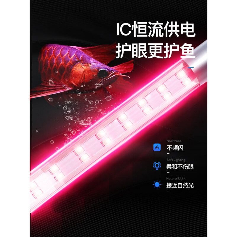 七彩龍魚什么時候變色最好：七彩龍魚什么時候變色最好七彩龍魚什么時候變色最好