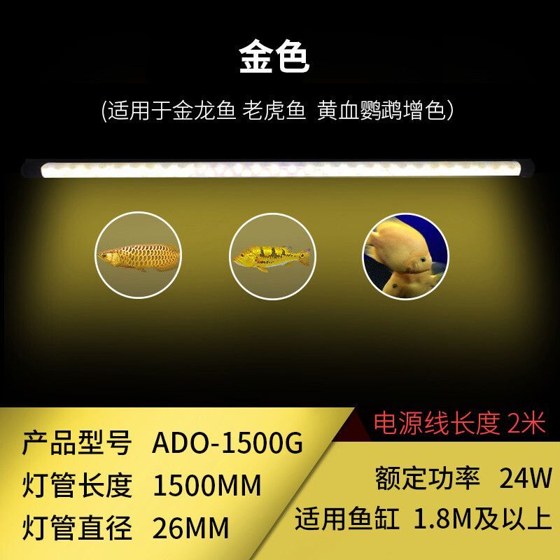 七彩龍魚什么時候變色最好：七彩龍魚什么時候變色最好七彩龍魚什么時候變色最好
