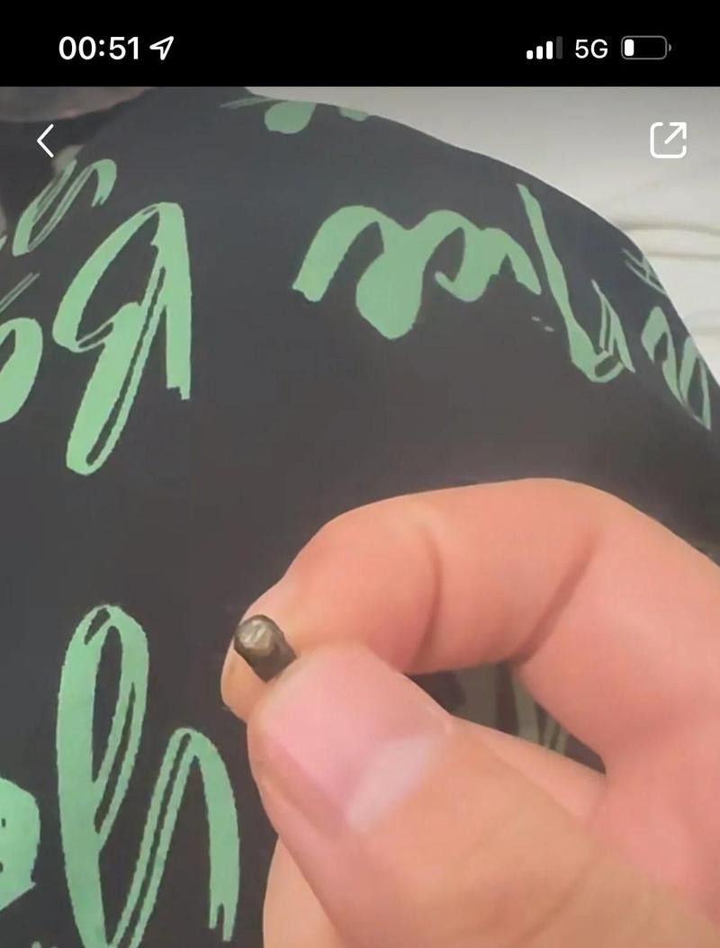 如何預(yù)防龍貓消化系統(tǒng)異常？