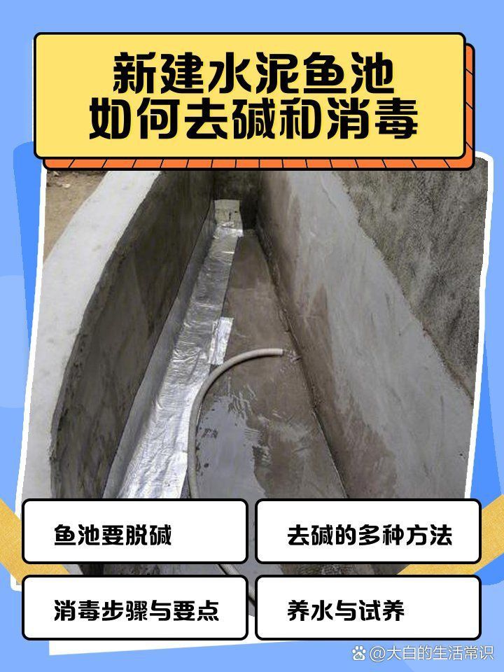 藍帆五間魚脫變最怕什么