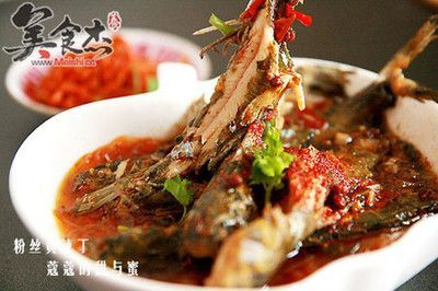 黃龍魚照片：與黃龍魚相關的照片和圖片