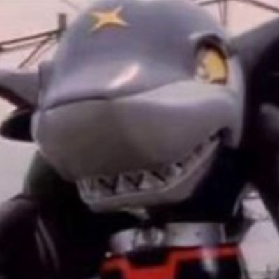 斑馬狗頭能和龍魚混養嗎：斑馬狗頭魚的飼養注意事項