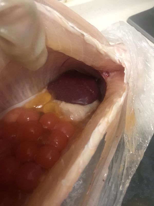 龍魚肚子里的卵死在了肚子里