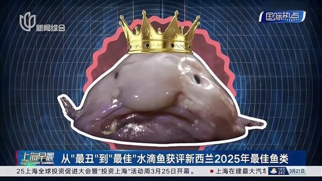魚品牌創(chuàng)新產(chǎn)品