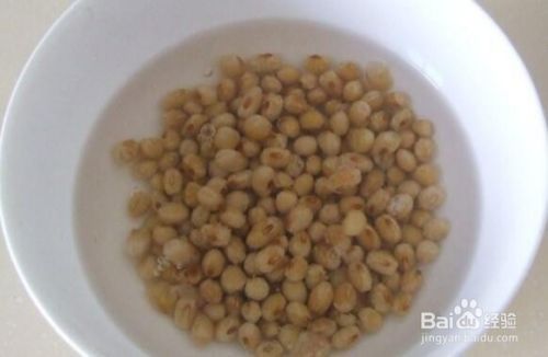金龍魚的魚食怎么做（金龍魚活餌喂養(yǎng)的優(yōu)缺點）