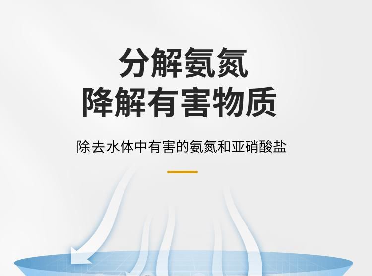 龍魚缸硝酸鹽超標：如何解決龍魚缸硝酸鹽超標問題