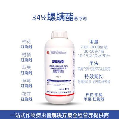 龍魚用什么藥殺蟲最好（龍魚專用驅蟲藥效果對比）