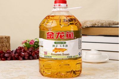 金龍魚加盟費多少（金龍魚加盟費因地區和店鋪規模而異一般在10萬元至50萬元）