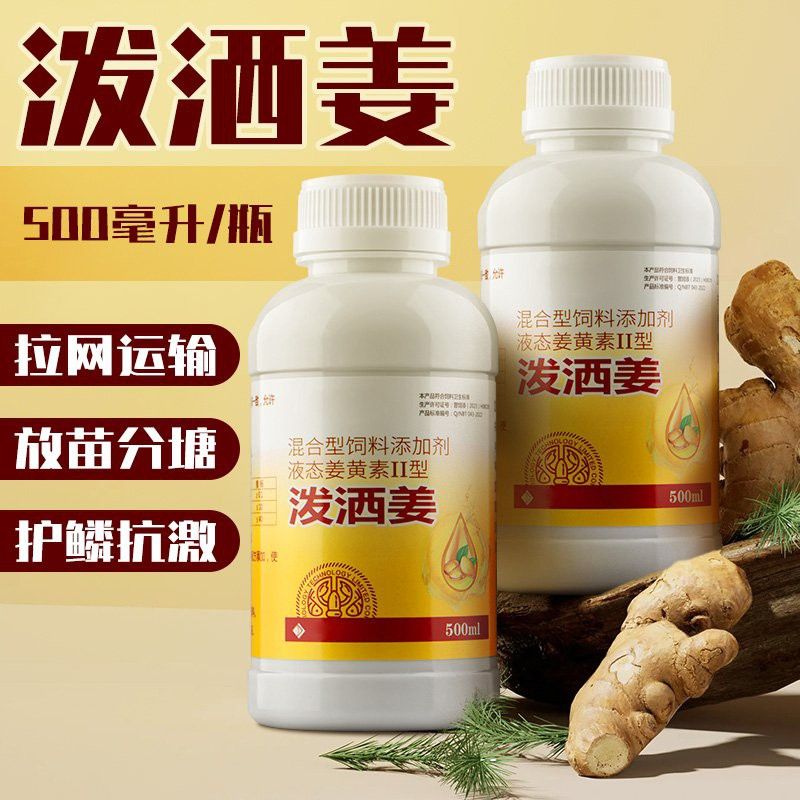 如何預防金龍魚應激反應？