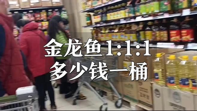 金龍魚調(diào)和油價(jià)格怎么樣