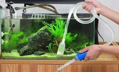 1.5米魚缸多久換水好，1.5米魚缸換水頻率建議新魚入缸水質管理技巧