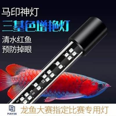 紅龍魚飼養技巧圖解（紅龍魚飼養技巧圖解紅龍魚飼養常見誤區）