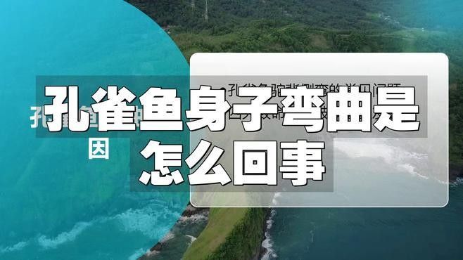 銀龍魚身子打彎怎么回事