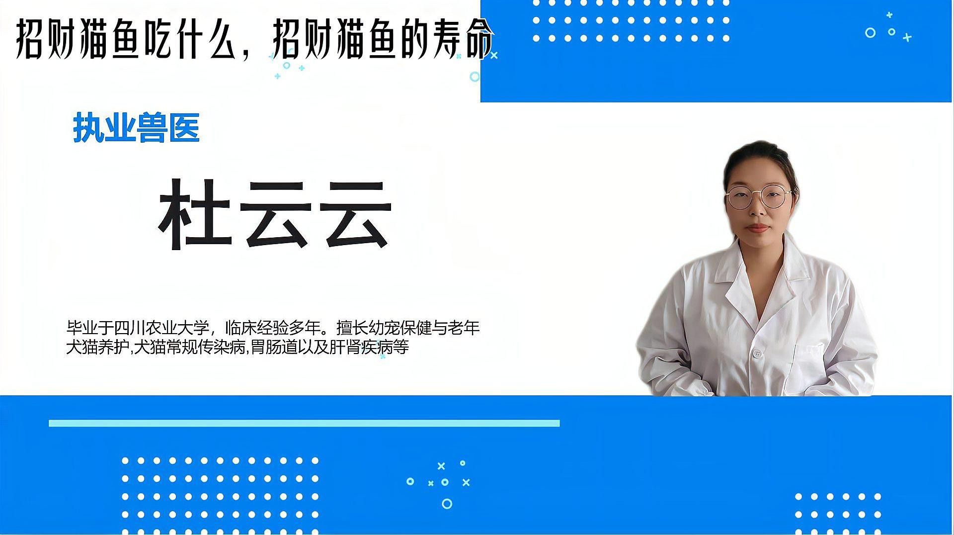 招財(cái)貓和龍魚吃什么