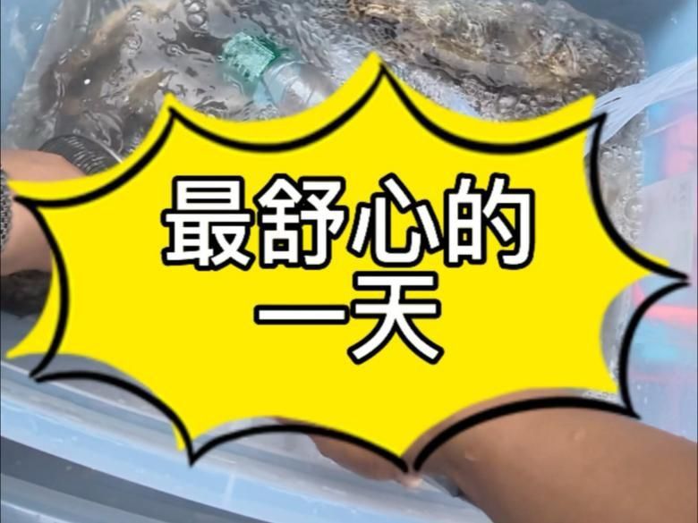 開個賣魚店利潤怎么樣