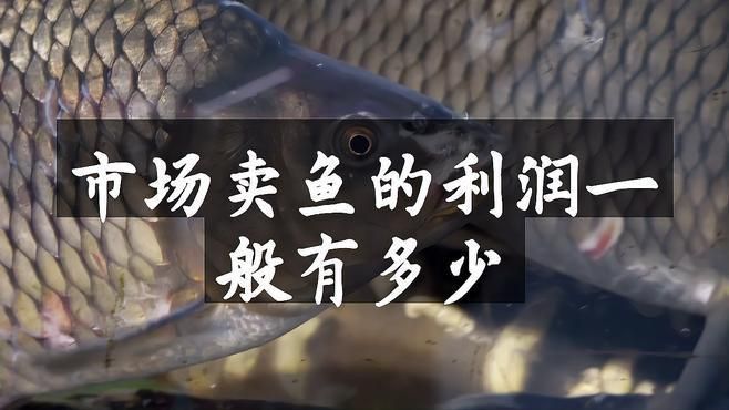 開個賣魚店利潤怎么樣