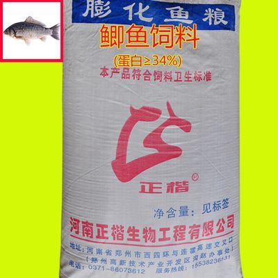 白龍魚吃什么長得快：白龍魚吃什么可以促進快速生長