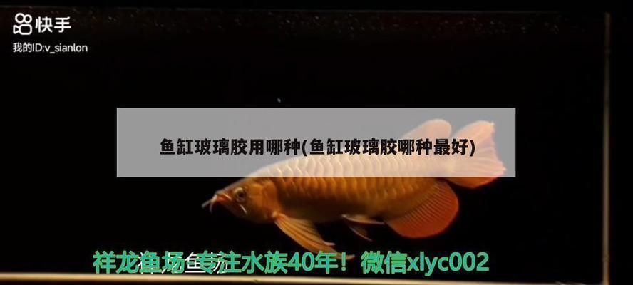 龍魚(yú)疾病圖解圖片大全：關(guān)于龍魚(yú)疾病的圖解圖片大全