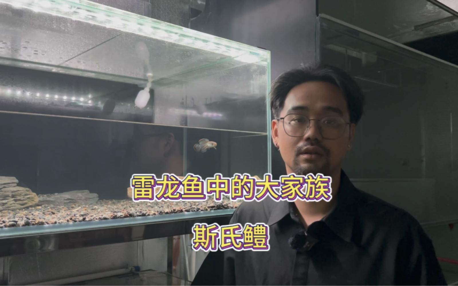 如何區分不同品種的雷龍魚？