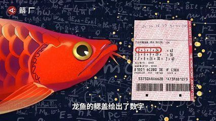 賣龍魚取一個店名可以嗎多少錢啊（為賣龍魚的店取名需要多少錢）