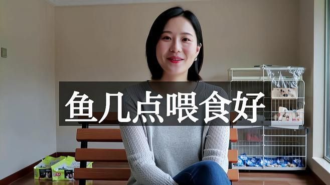 紅金龍魚什么時候喂食最好？