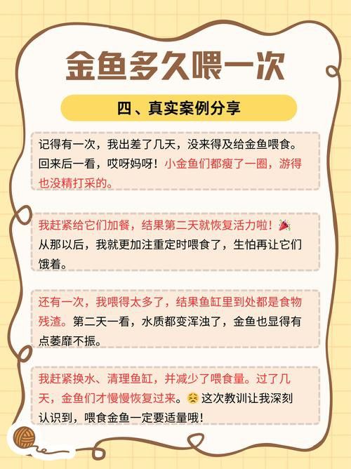 紅金龍魚什么時候喂食最好？