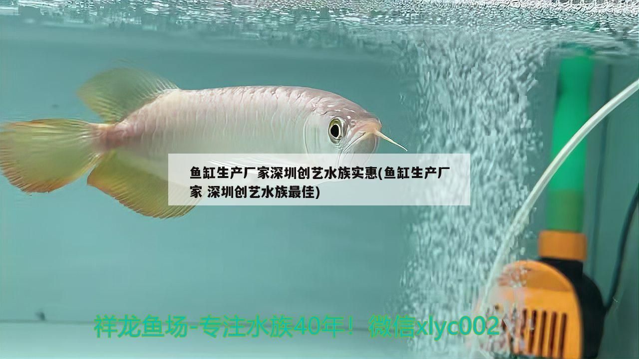 魚缸生產(chǎn)廠家深圳創(chuàng)藝水族實(shí)惠(魚缸生產(chǎn)廠家深圳創(chuàng)藝水族最佳)