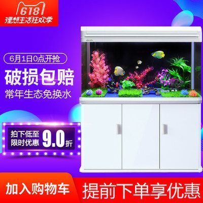 養龍魚氧氣泵放底缸好嗎：養龍魚時使用氧氣泵放置于底缸是有益的