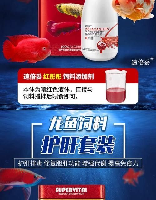 銀龍魚吃什么發(fā)色最好看圖片