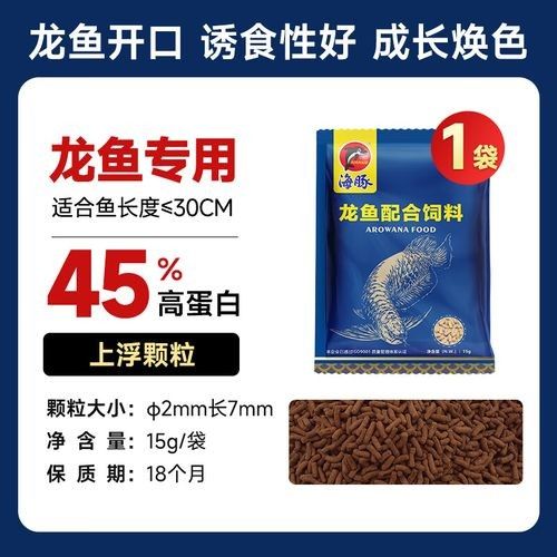 銀龍魚吃什么發(fā)色最好看圖片