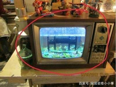 魚缸過濾器的拆卸方法，如何選擇合適的魚缸過濾器 魚缸過濾器的拆卸方法，如何選擇合適的魚缸過濾器 龍魚百科 第1張